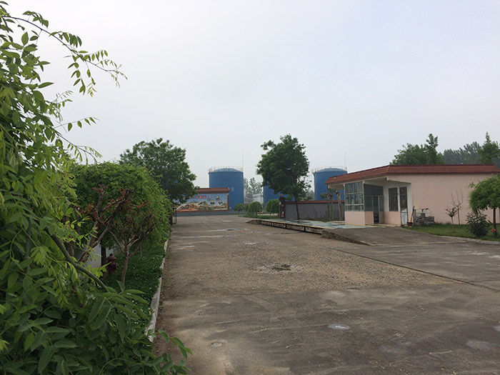 公司展示